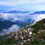 G.C Chemie Pharmie: Four Decades of Innovation and Trust in Pharmaceuticals and Nutraceuticals